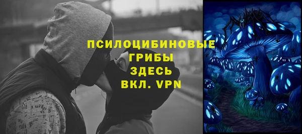 apvp Кодинск