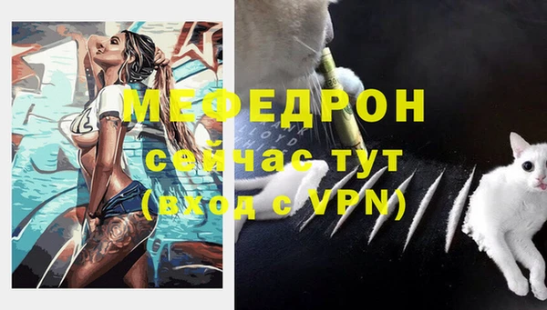 apvp Козельск