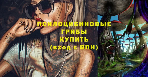 apvp Козельск